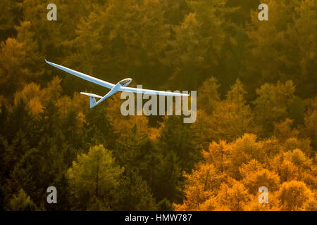 Glider, two-seater, Duo Discus D-5443 over autumn forest, near Arnsberg, Ruhr district, North Rhine-Westphalia, Germany Stock Photo