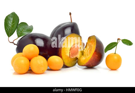 Plums and cherry plums isolated on white Stock Photo