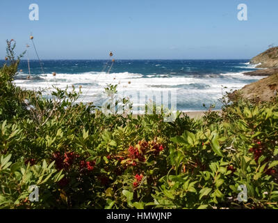 Cap Corse, France: coastal landscape and beaches of Cap Corse Stock Photo