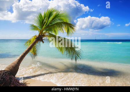 caribbean beach landscape Stock Photo