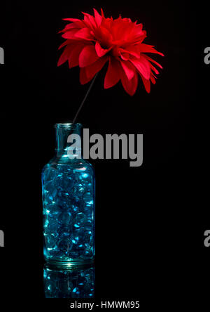 A blue glass bottle, with blue pebbles in, sat on black plexiglass. An artificial red flower from the top.   Strobist: The flower was lit by my new fa Stock Photo