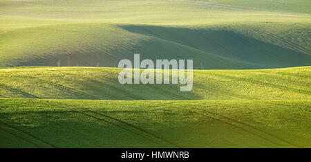 Abstract pattern texture of rolling wavy fields in spring. Spring green fields on hills. The field of young wheat. Moravia, Czech Republic Stock Photo