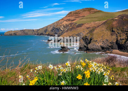 Llangrannog Beach, Ceredigion, Cardigan, West Wales, UK Stock Photo