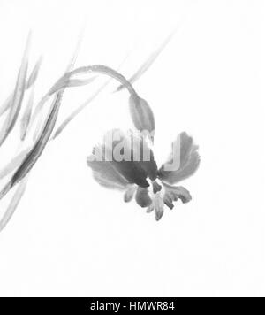 iris chinese ink painting Stock Photo