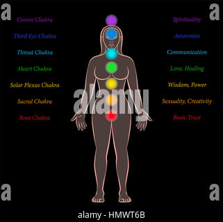 Body Meridians Chart Woman Flow Direction Stock Photo