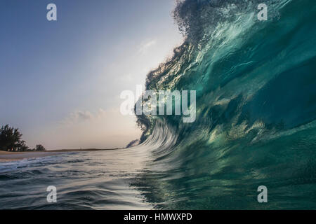 A back lit shore break wave in the evening at Keiki beach on the North Shore of Oahu. Stock Photo
