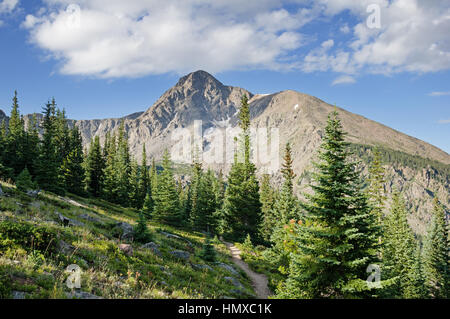 Mount of the Holy Cross from near Half Moon Pass Stock Photo