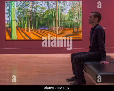 Tate Britain, London, UK. 6th Feb, 2017. Woldgate woods 6 &9 November, 2006 - David Hockney, a major new retrospective, at Tate Britain's. It includes more than 200 works and celebrates Hockney's achievement in painting, drawing, print, photography and video. As he approaches his 80th birthday, this exhibition offers an unprecedented overview of the artist's 60-year career. It runs from 9 Feb to 29 May 2017. London 06 Feb 2017. Credit: Guy Bell/Alamy Live News Stock Photo