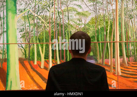 London UK. 6th February 2017. Photocall of David Hockney retrospective representing 60 years of the famous art works by the British Artist at Tate Britain Credit: amer ghazzal/Alamy Live News Stock Photo