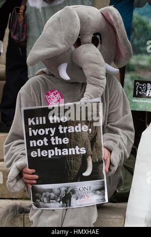 London, UK. 6th February, 2017. An animal rights campaigner dressed as an elephant, takes part in a peaceful gathering outside Parliament to support the debate on the UK ivory ban. Credit: Mark Kerrison/Alamy Live News Stock Photo