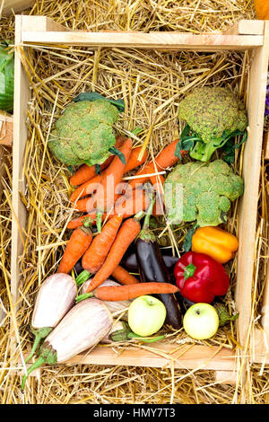 Set of natural vegetable village. Set of different vegetables. Carrots, broccoli, red pepper photographed on yellow hay. Stock Photo