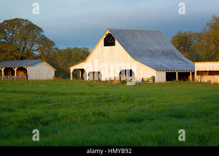 Willamette Valley barn, Benton County, Oregon Stock Photo