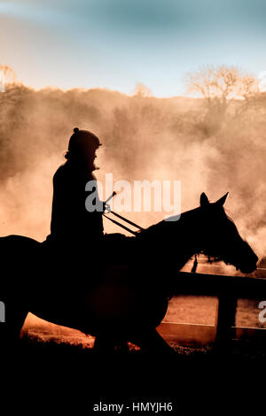 Steaming racehorse on the gallops at a Somerset stables UK Stock Photo