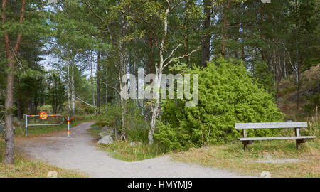 No vehicles sign and wooden seat amongst nature, Sweden, Scandinavia Stock Photo