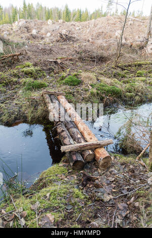 Timbered footbridge with logs across a small creek in the woods Stock Photo