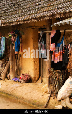 Vietnam. Flower Hmong village Stock Photo