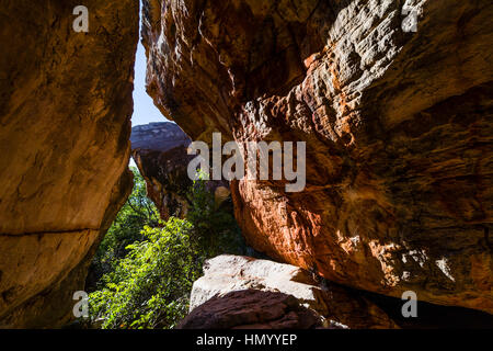 Ancient Aboriginal Gwion Gwion rock paintings also know as Bradshaw rock art in a sandstone gallery. Stock Photo