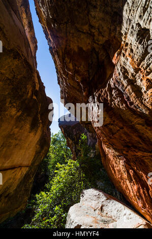 Ancient Aboriginal Gwion Gwion rock paintings also know as Bradshaw rock art in a sandstone gallery. Stock Photo