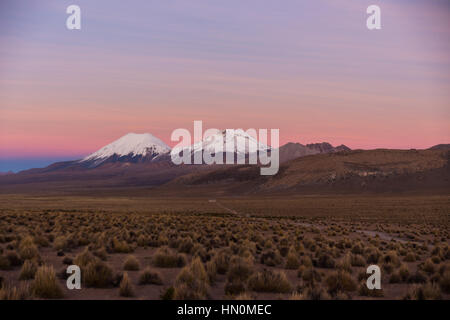 Sunset in Andes. Parinacota and Pomerade volcanos. High Andean landscape in the Andes. High Andean tundra landscape in the mountains of the Andes. Stock Photo