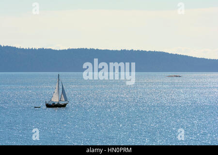 A small sailboat off Vancouver Island Stock Photo