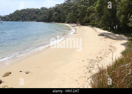 Athol Beach, Athol Bay, Mosman on Sydney harbour. Stock Photo