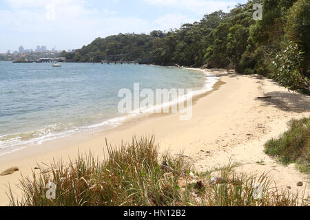 Athol Beach, Athol Bay, Mosman on Sydney harbour. Stock Photo