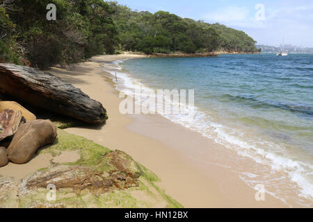 Athol Beach, Athol Bay, Mosman on Sydney harbour. Stock Photo