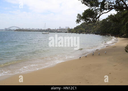 Athol Beach, Athol Bay, Mosman on Sydney harbour. Stock Photo