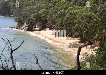 Athol Beach, Athol Bay, Mosman on Sydney harbour. Stock Photo