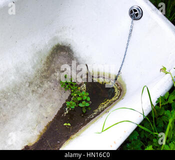 Old bath.Dirty old bath tub abandoned in a field and recycled as a drinking trough for cattle. Stock Photo
