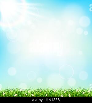 Green grass lawn with chamomiles on blue sky. Floral nature spri Stock Vector