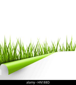 Green grass with wrapped paper sheet isolated on white. Floral e Stock Vector