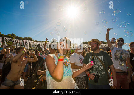 Music Festival Crowd Stock Photo