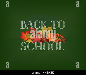 Back to school. Banner with  autumn leaves over green chalkboard background. Vector. Stock Vector