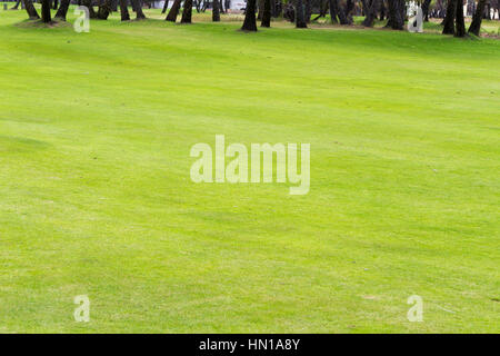 Golf course, Angola Stock Photo