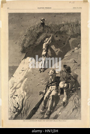 Winslow Homer -   Raid on a sand-swallow colony --   Stock Photo