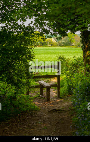 Stile and path on the edge of woodland in Kent england Stock Photo