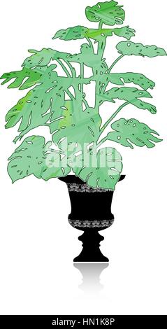 Monstera in a flower pot Stock Vector