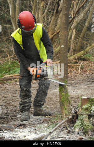 Man using a chainsaw to cut down a large apple tree whilst wearing just ...