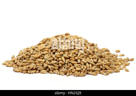 spelt grains isolated on white background Stock Photo