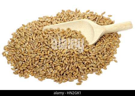 wooden spoon with spelt grains isolated on white background Stock Photo