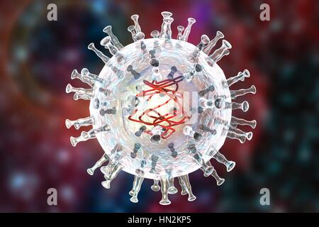 African swine fever virus, illustration. This virus is a member of the iridovirus group that causes African swine fever. Unlike other DNA- containing vertebrate viruses (except the poxviruses), the iridovirus replicates in the host cell's cytoplasm (most others replicate in the nucleus). Stock Photo