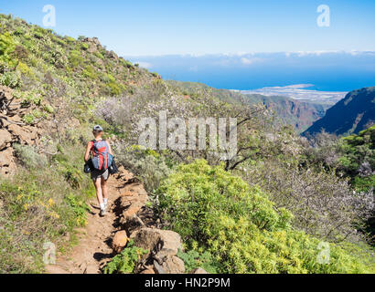 Female hiker in Guayadeque barranco with Almon trees in flower on Gran Canaria, Canary Islands, Spain. Airport and coast in distance. Stock Photo