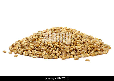 wheat grains isolated on white background Stock Photo