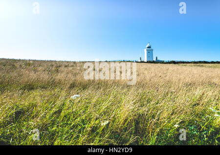 Grass bends in the meadow as a Victorian lighthouse stands tall in the background Stock Photo