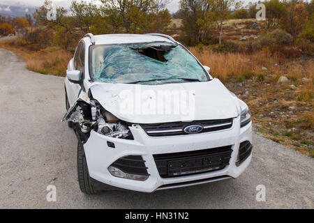 Wrecked car after collision with moose (Alces alces) on road in Scandinavia Stock Photo