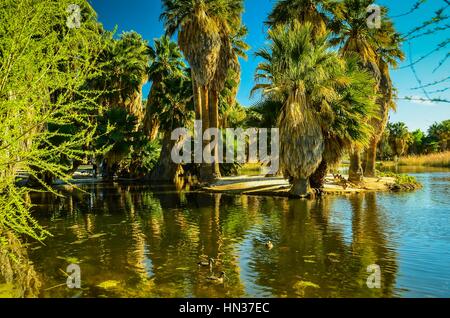 Tucson, Arizona, Aqua Caliente Oasis Park Stock Photo