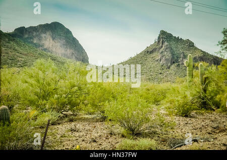 Tucson, Arizona, Aqua Caliente Oasis Park Stock Photo