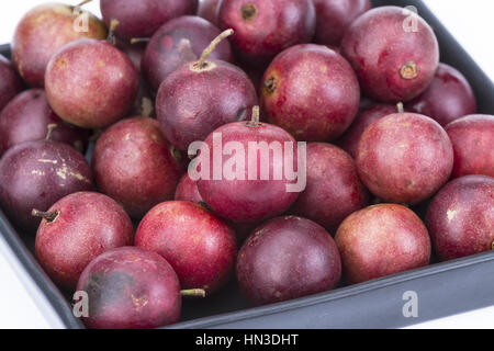 Fruit Ramontchi - Scientific Name is 'Flacourtia indica (Burm.f.) Merr.' Stock Photo