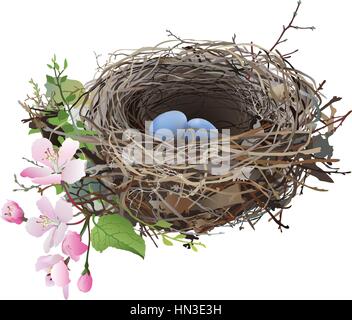 A bird's nest with blue eggs, surrounded by sprig flowers and green shoots, on transparent background - hand drawn vector illustration. Stock Vector